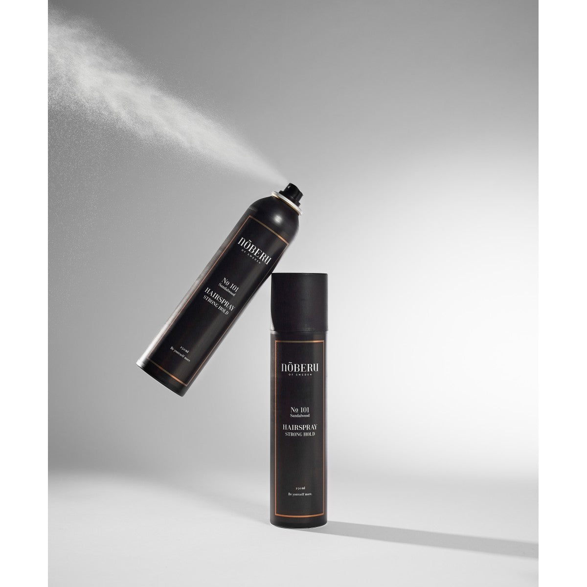 PLAUKŲ LAKAS - NO101 - NOBERU